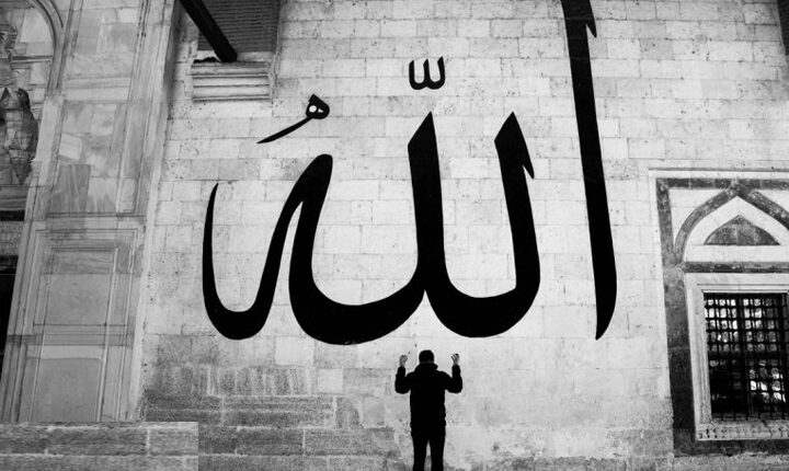 وكلاء الله فى الأرض..بقلم المفكر العربي علي محمد الشرفاء